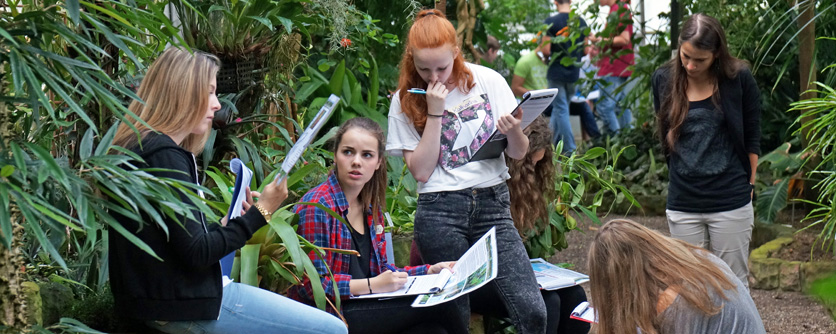 The Green School offers exciting projects dealing with botanical subjects designed for all age groups.